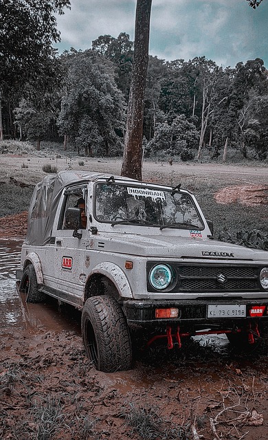 以其灵活和 以其灵活和