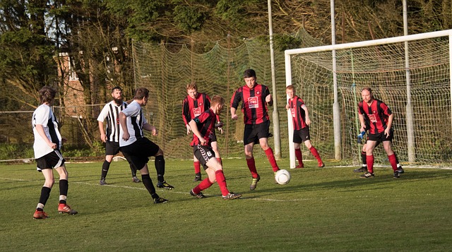 组织转型 组织转型