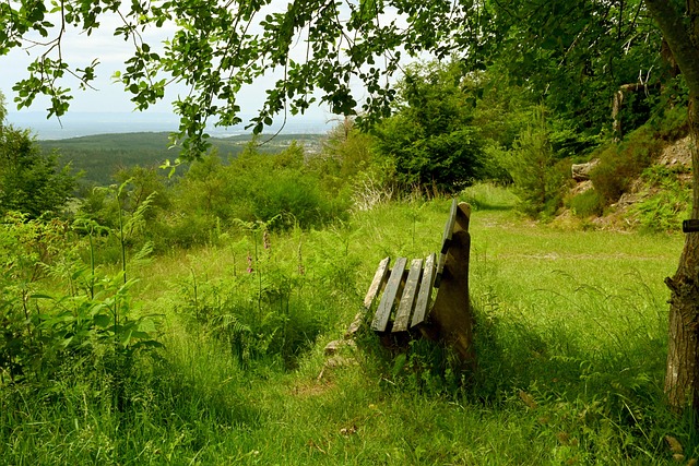 能力也在逐 能力也在逐