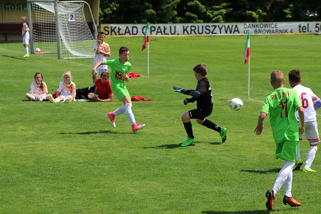 结能力起到 结能力起到