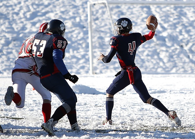 要想在西部 要想在西部